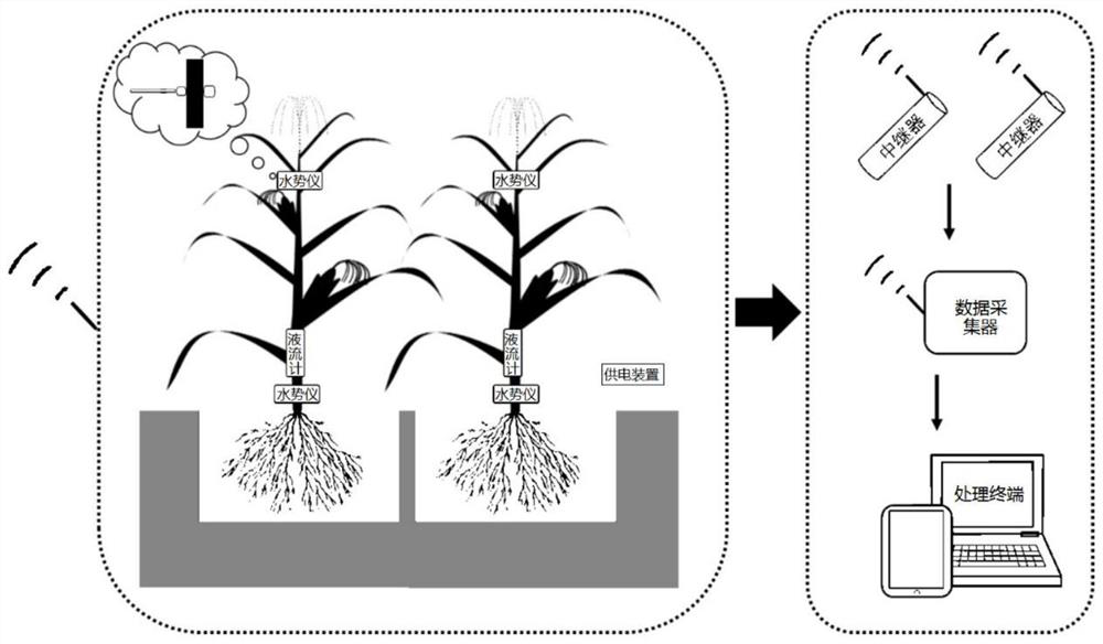 Plant watering decision system and method