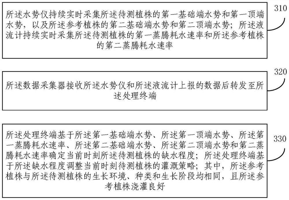 Plant watering decision system and method