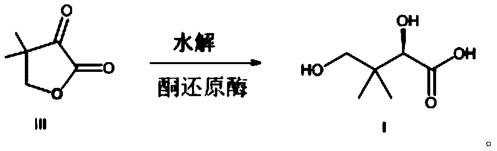 Preparation method for D-pantoic acid