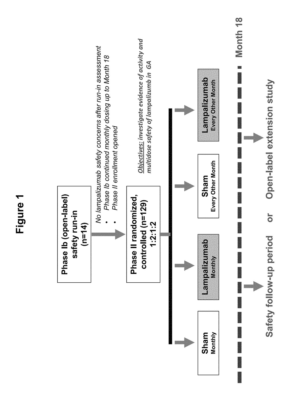 Compositions for detecting complement factor H (CFH) and complement factor I (CFI) polymorphisms