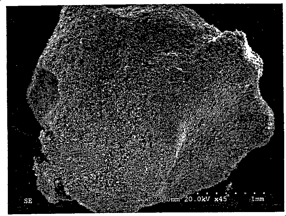 Modified starch particle, preparation and application thereof