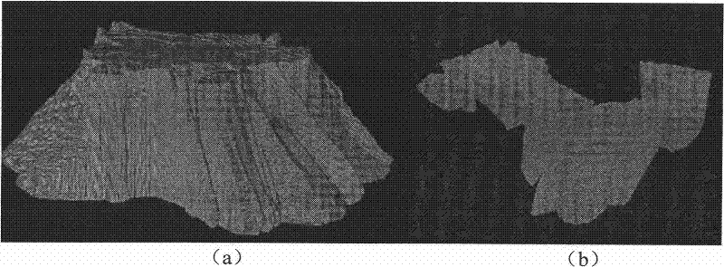 Method for geologic body to quickly and dynamically generate linear octree