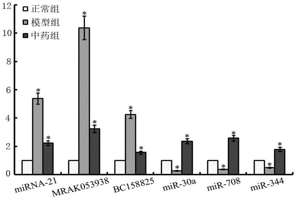 A kind of traditional Chinese medicine composition and its application in preparing medicine for treating pulmonary fibrosis disease