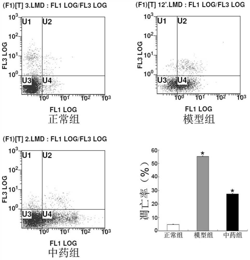 A kind of traditional Chinese medicine composition and its application in preparing medicine for treating pulmonary fibrosis disease