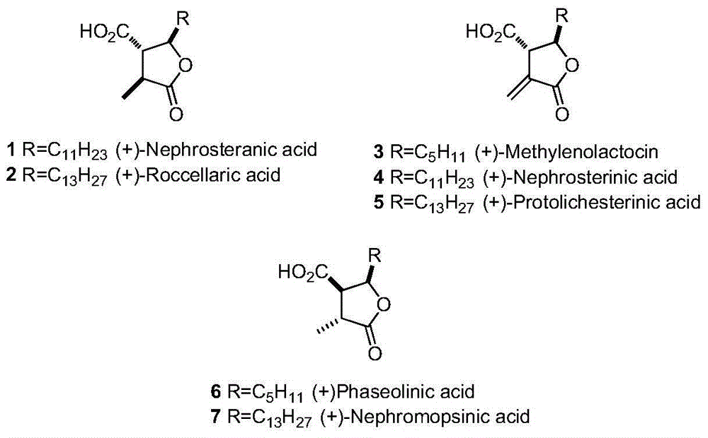 Enantioselective method for synthesizing beta-ester-gamma-butyrolactone