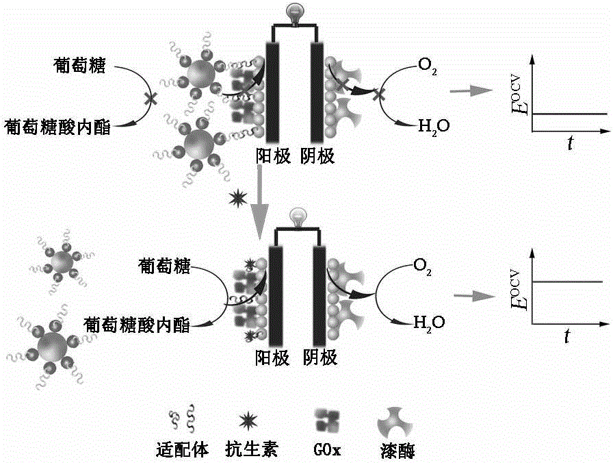 Preparation method of antibiotics self-powered aptamer sensor