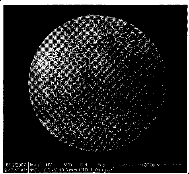 Method for preparing nucleocapsid type microgel composite microsphere using polymerisable surfactant