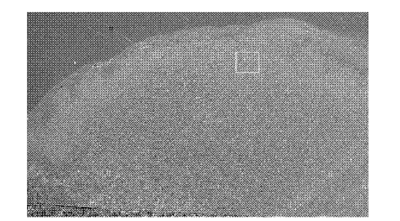 Preparation method of in-situ self-generated titanium carbide particle reinforced nickel-based gradient coating