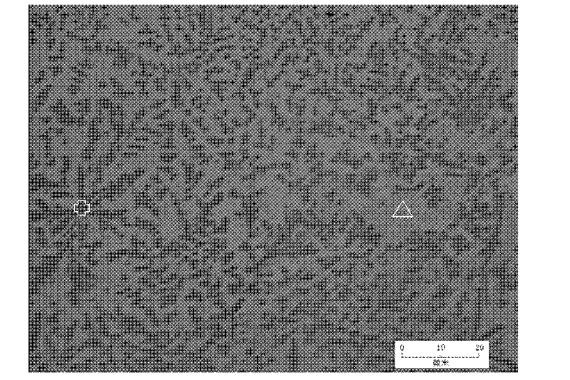 Preparation method of in-situ self-generated titanium carbide particle reinforced nickel-based gradient coating