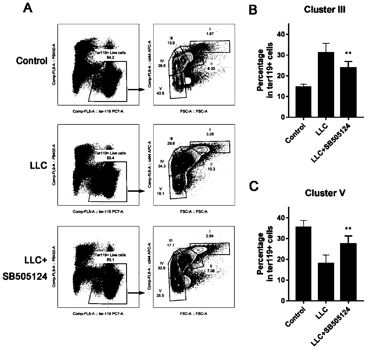 Application of TGF signal inhibitor in preventing and treating cancerous anemia