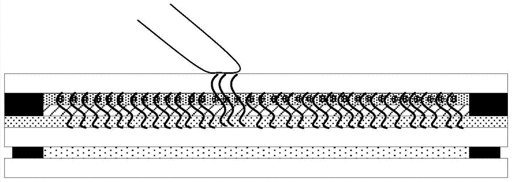Touch panel, manufacturing method thereof and touch display device