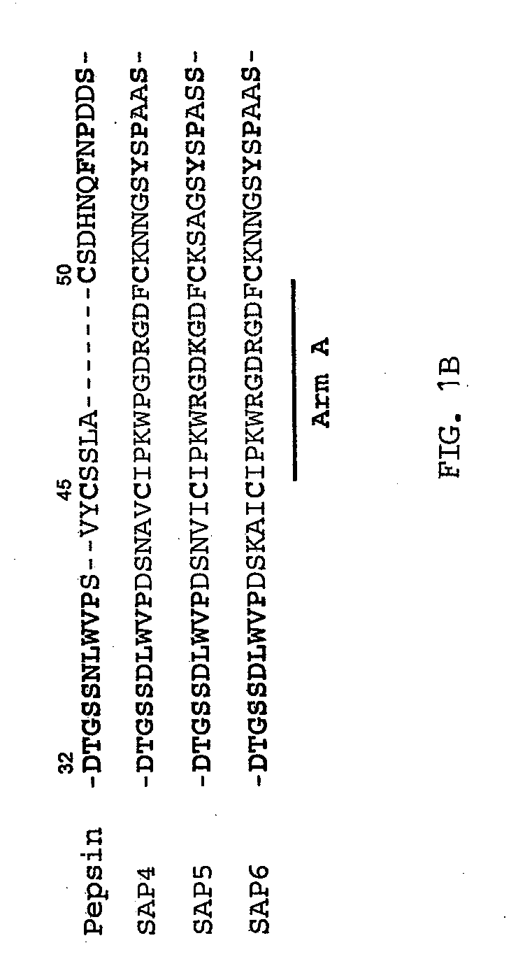 Methods and Compositions for Inhibiting Fungal Infection and Disease
