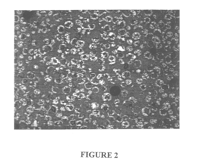 Ceramic shell thermal spray powders and methods of use thereof