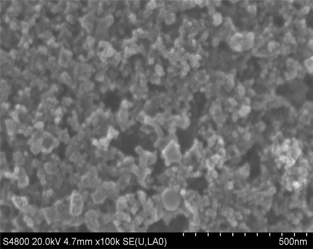 Preparation method of positive electrode of transition metal doped antimonene composite lithium-sulfur battery