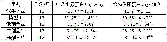 Traditional Chinese medicine composition treating diabetic nephropathy and preparing method thereof