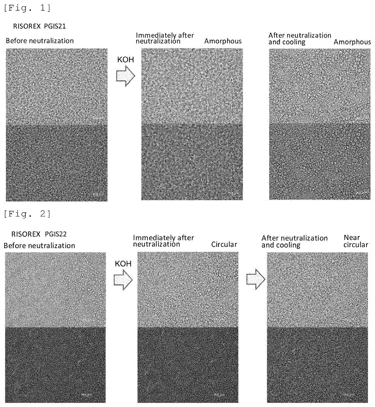 Novel complex and emulsion composition