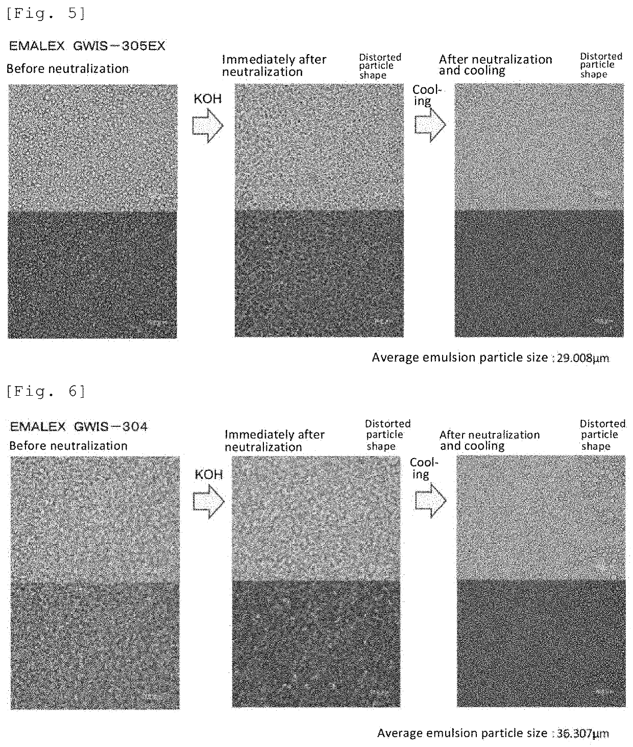 Novel complex and emulsion composition