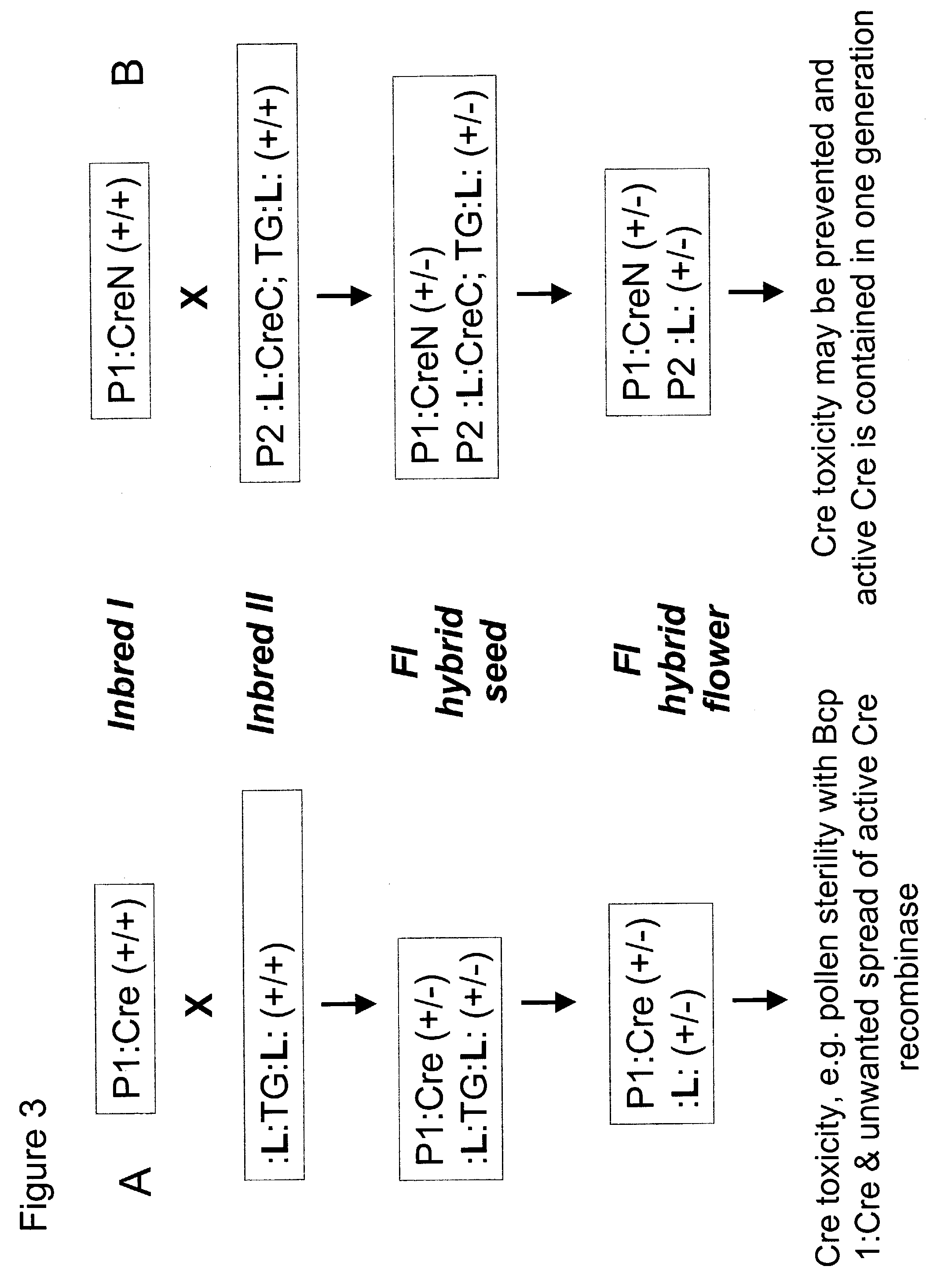Method of controlling site-specific recombination