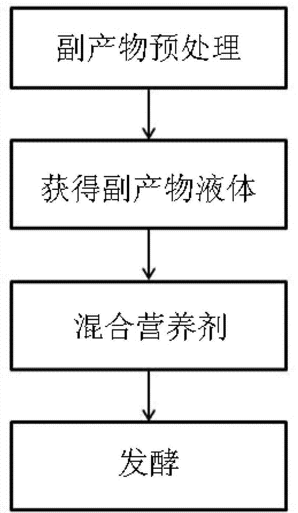 Needle-leaved tree by-product fermentation liquid and preparation method thereof, forage containing fermentation liquid and drinking water