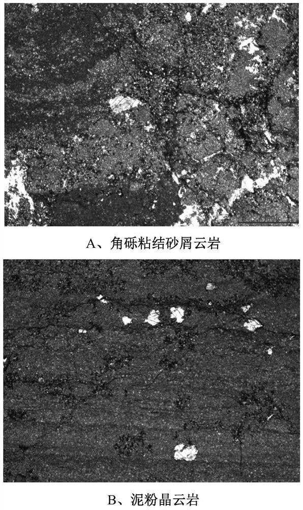 A fine division method for deep/ultra-deep carbonate sedimentary microfacies based on lithoelectric interpretation model