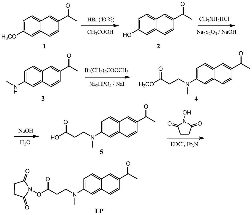 Two-photon fluorescent labeling probe and its synthesis method and application of new coronavirus diagnosis