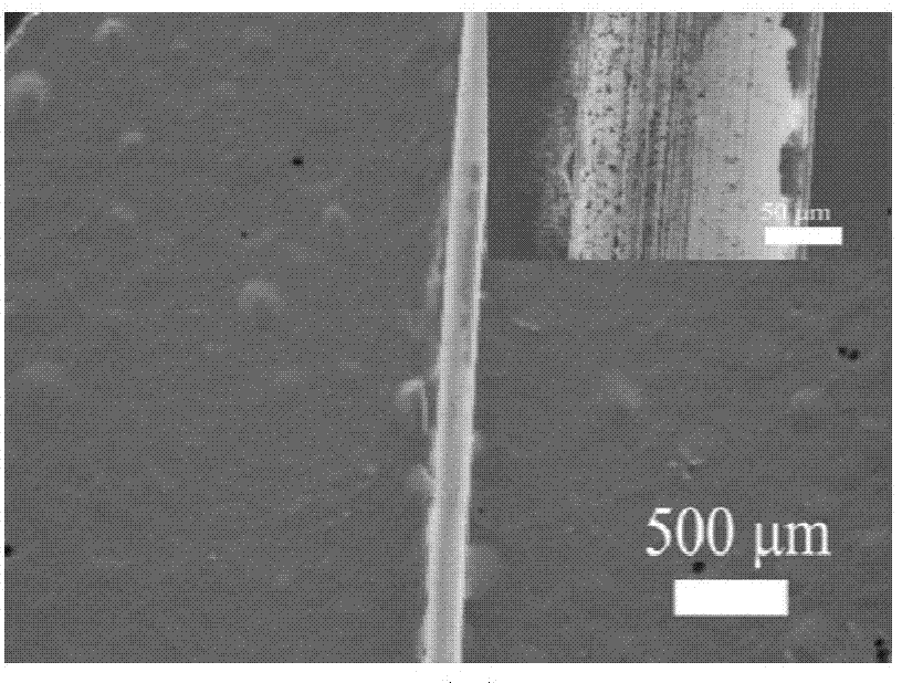 Preparation method and device for wrapping metal wires with carbon nanomaterials