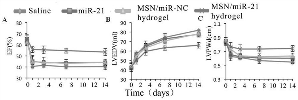 Application of msn/mirna hydrogel in preparation of medicine for treating myocardial infarction