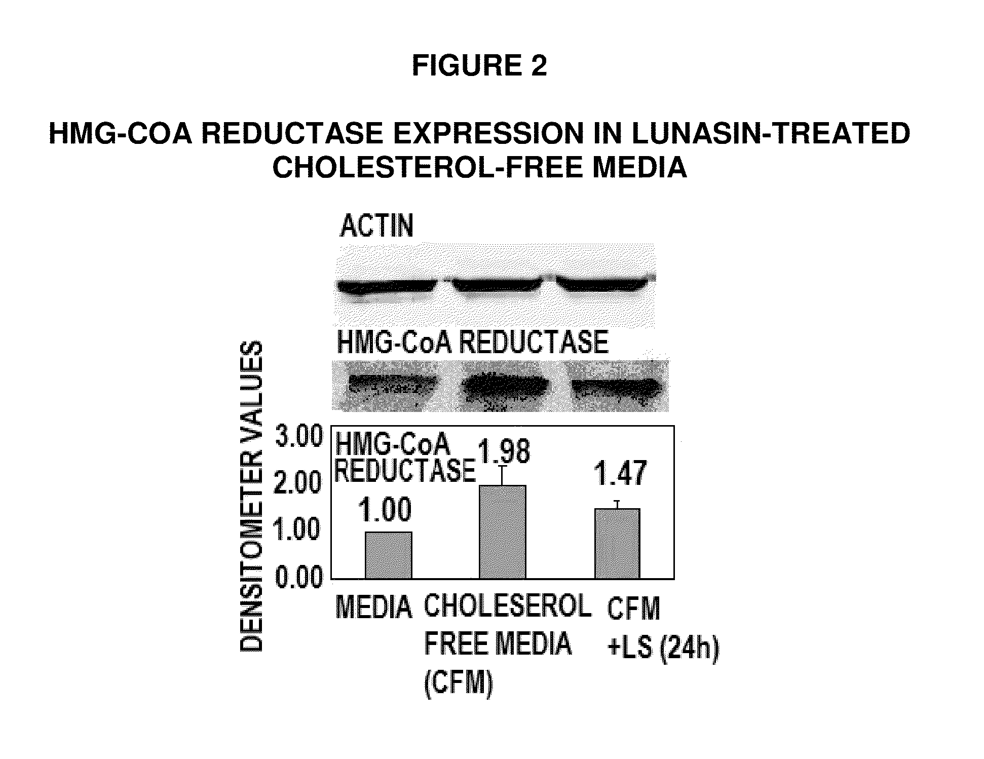 Methods for using soy peptides to inhibit h3 acetylation, reduce expression of hmg-coa reductase and increase ldl receptor and sp1 expression in a mammal