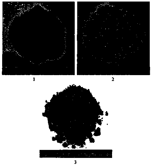 Calcining method of lapis chloriti potassium nitrate