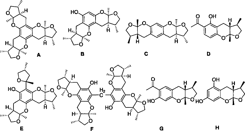 Synthetic method of Xyloketals compounds