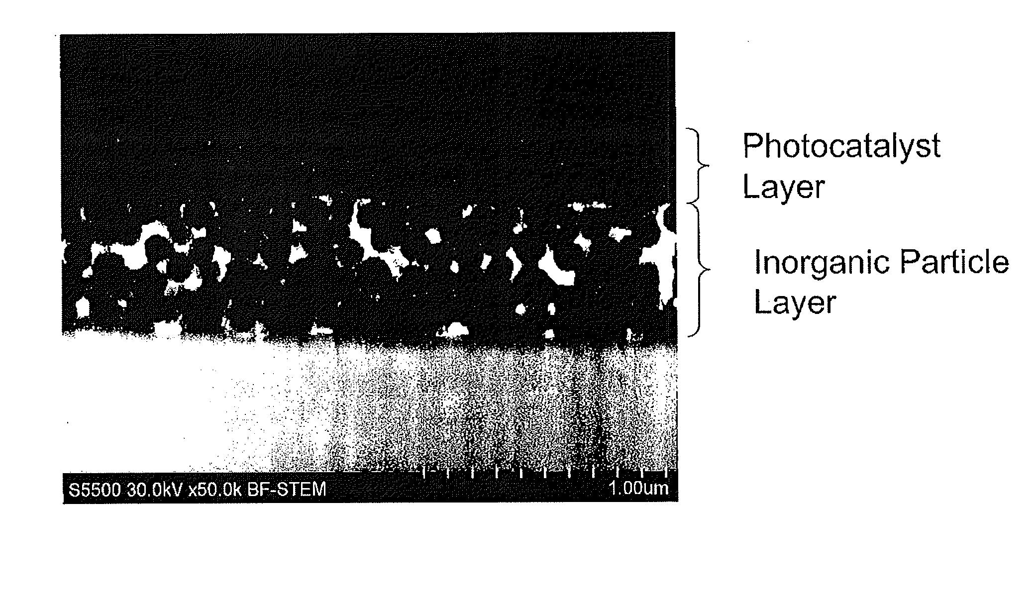 Photocatalyst composite and photocatalytic functional product using the same