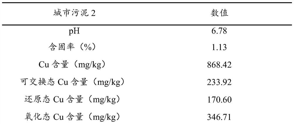 Removal Process of Heavy Metal Copper from Municipal Sludge