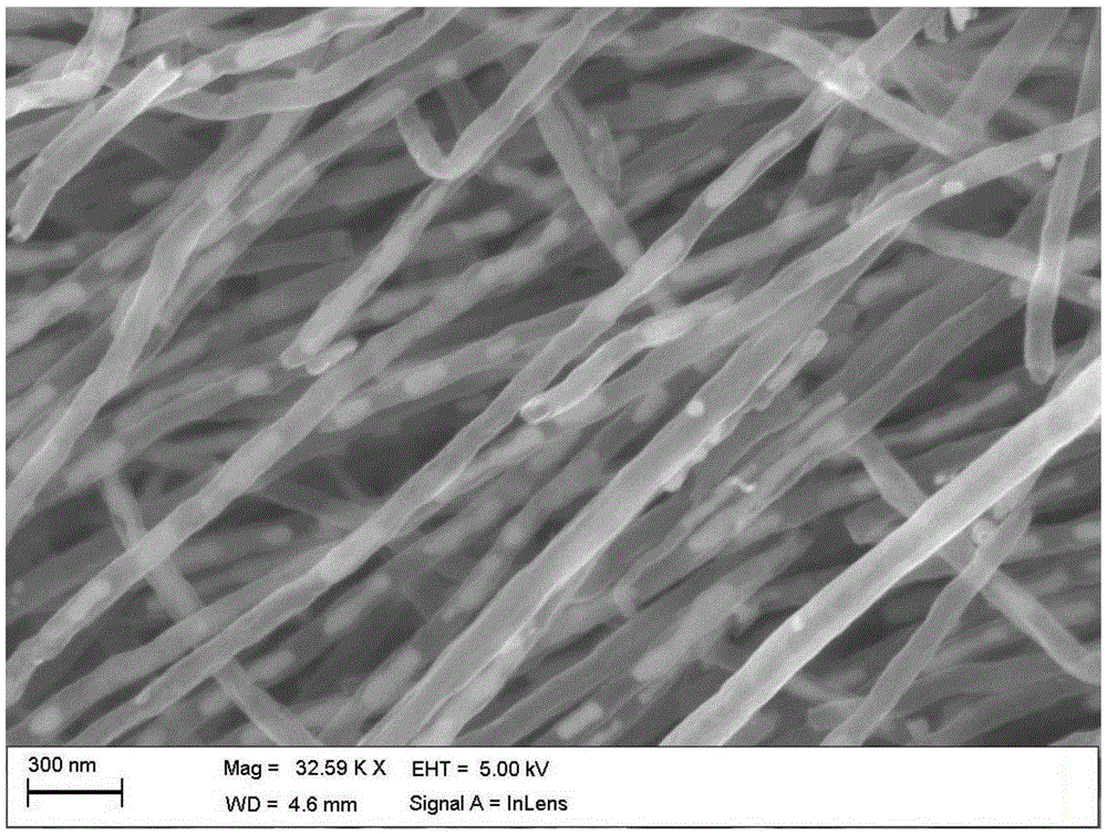 Method for in-situ preparation of iron carbide filled doped carbon nanotube