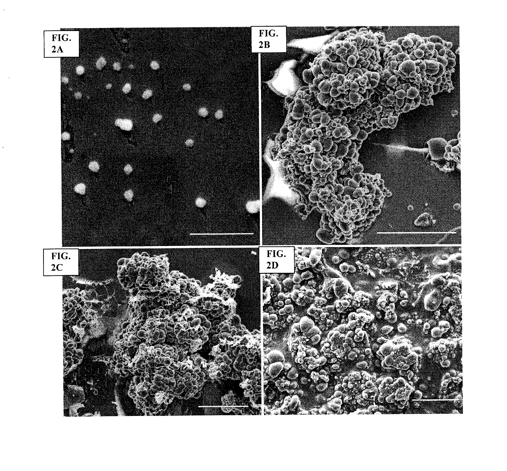 Archaeal polar lipid aggregates for administration to animals