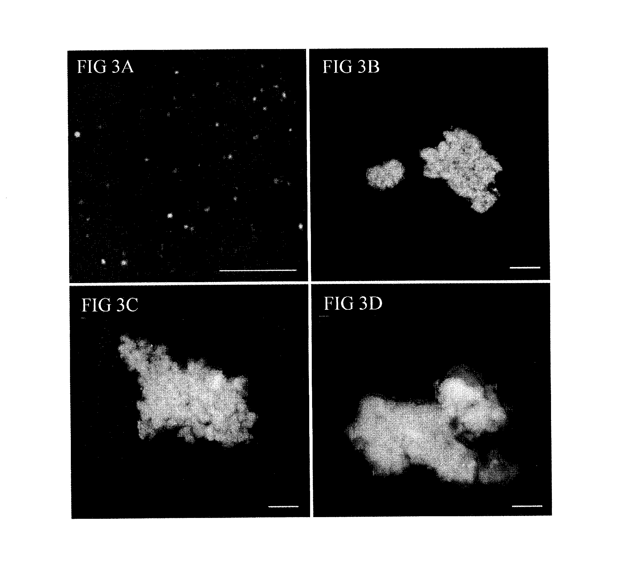 Archaeal polar lipid aggregates for administration to animals