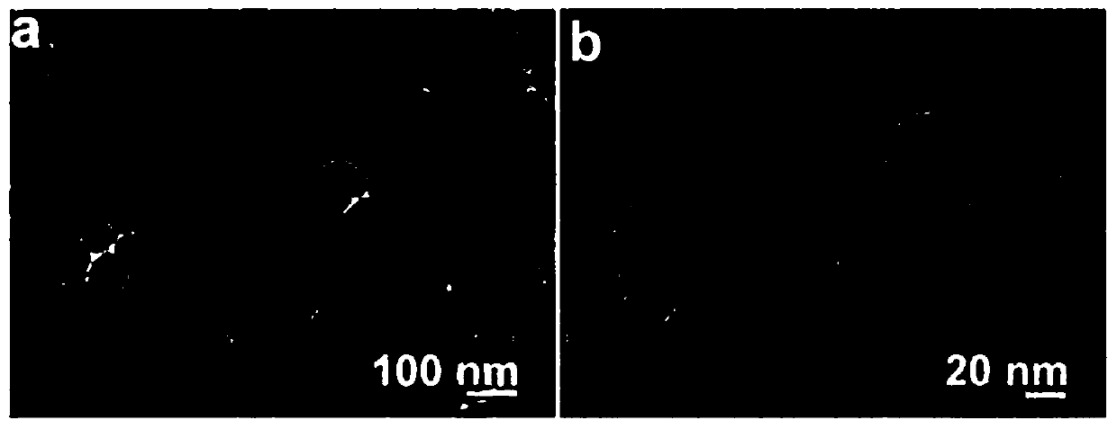 Iron ferric oxide/mesoporous silica/copper sulfide nanocomposite particles coupled with folic acid targeting and its preparation method and application