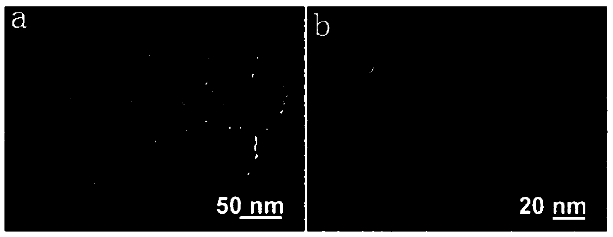 Iron ferric oxide/mesoporous silica/copper sulfide nanocomposite particles coupled with folic acid targeting and its preparation method and application