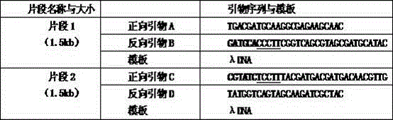 Method for connecting DNA fragments through T4 bacteriophage DNA topoisomerase