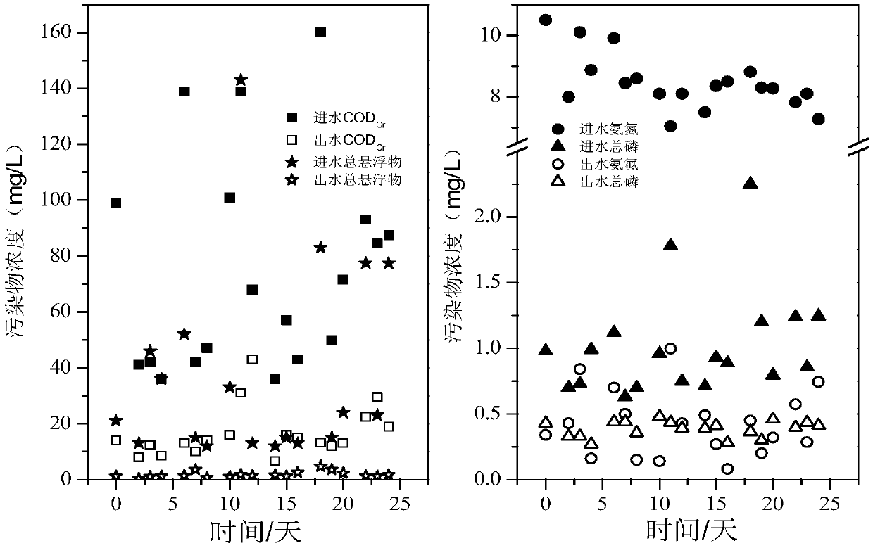 Method for alleviating swelling of filamentous bacterium-containing activated sludge under low-temperature condition