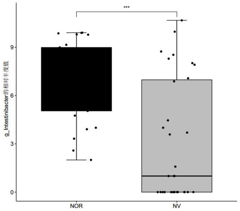 Microbial marker related to norovirus infectious diarrhea and application thereof