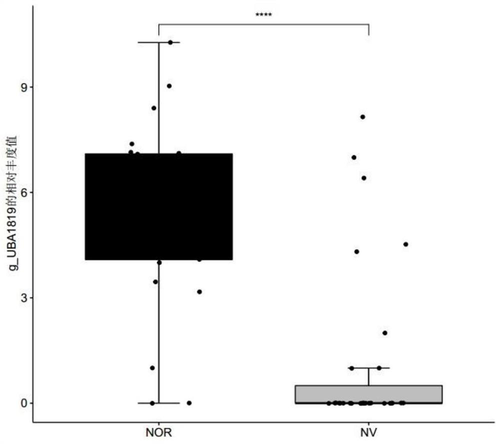 Microbial marker related to norovirus infectious diarrhea and application thereof