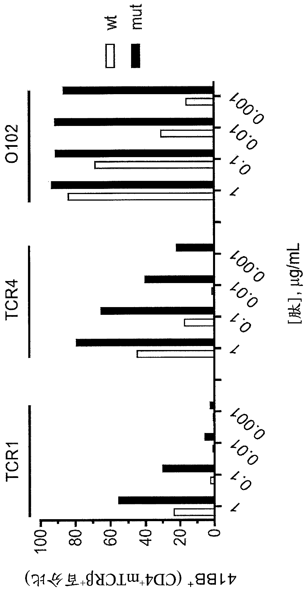 T cell receptors recognizing mutated p53