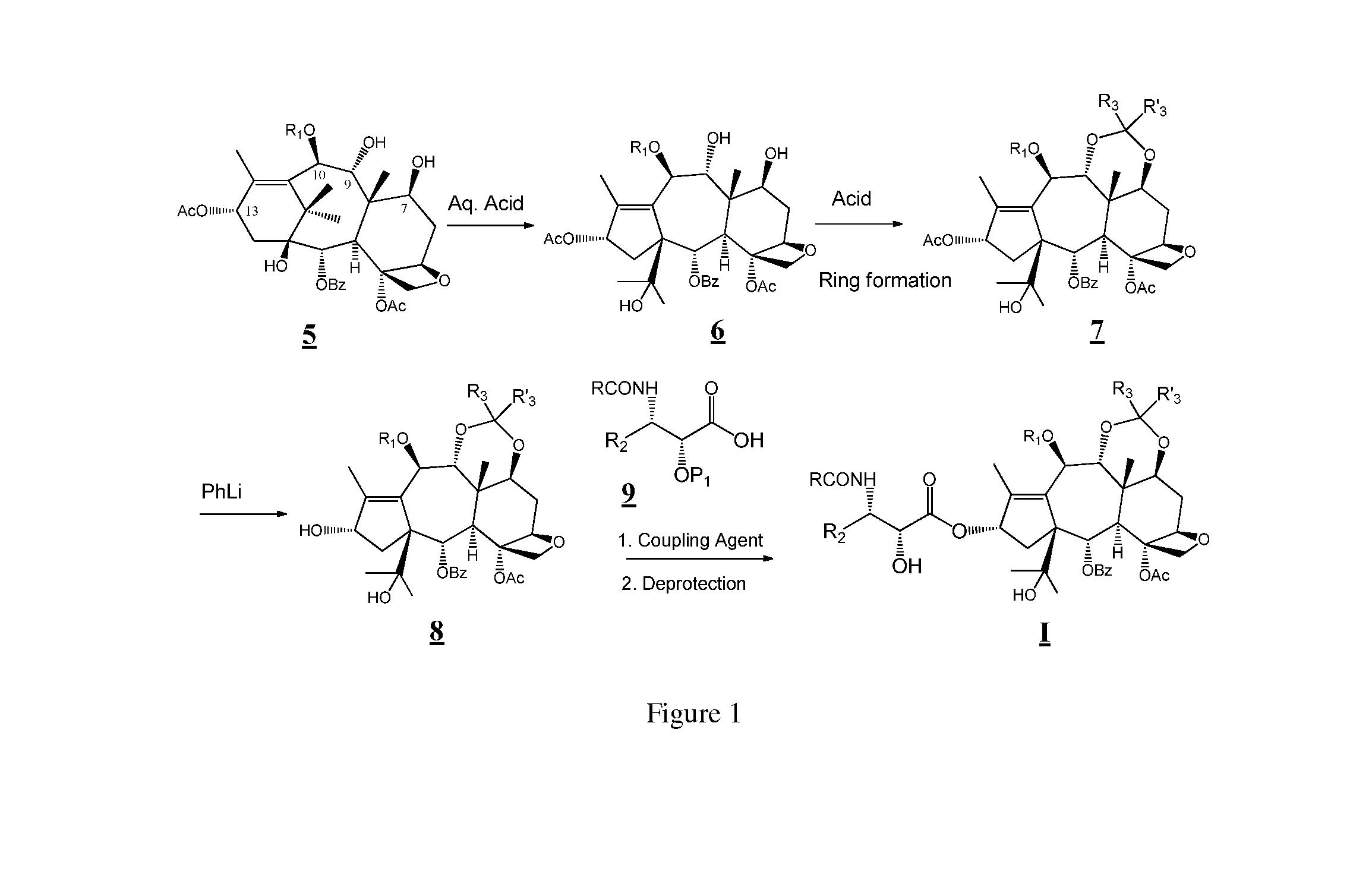 Taxane and abeo-taxane analogs