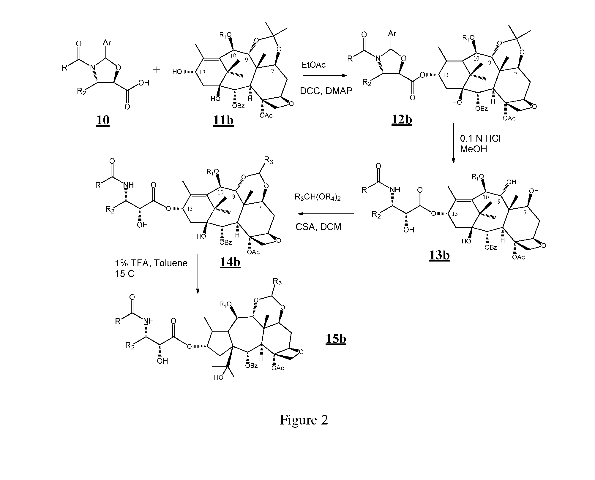 Taxane and abeo-taxane analogs