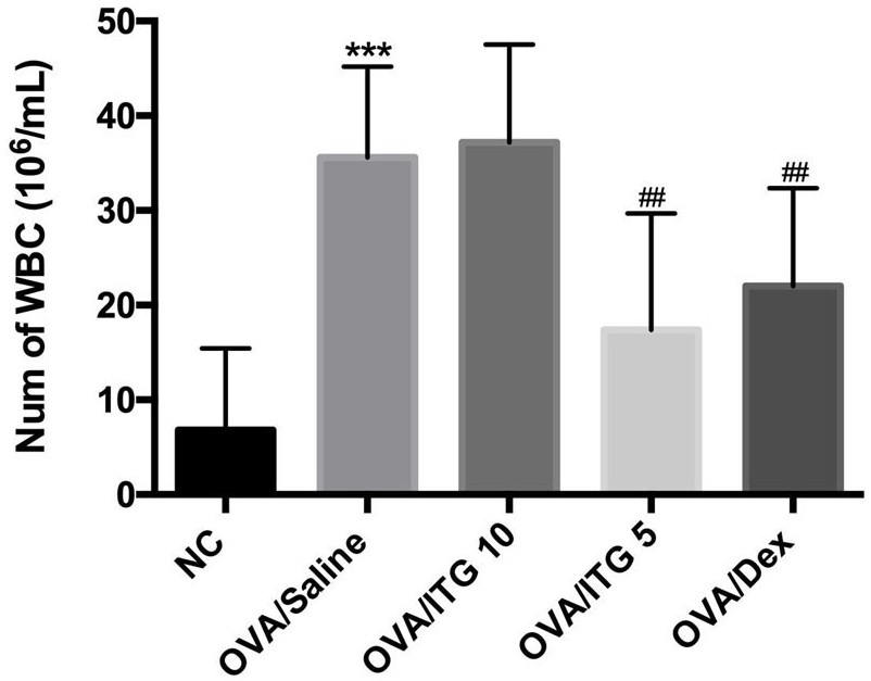 Application of tectorigenin A in preparation of medicine for preventing and treating bronchial asthma disease