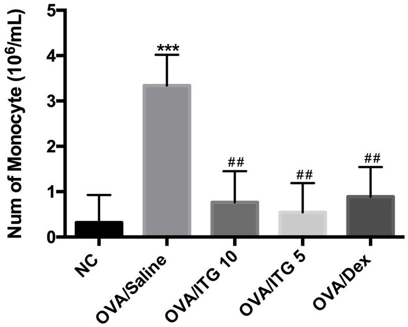 Application of tectorigenin A in preparation of medicine for preventing and treating bronchial asthma disease