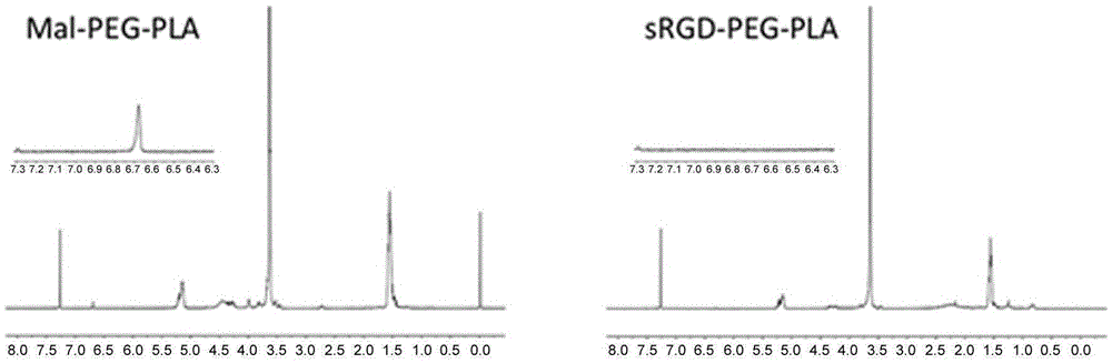 Stapled-RGD polypeptide, and applications thereof in tumor targeting delivery