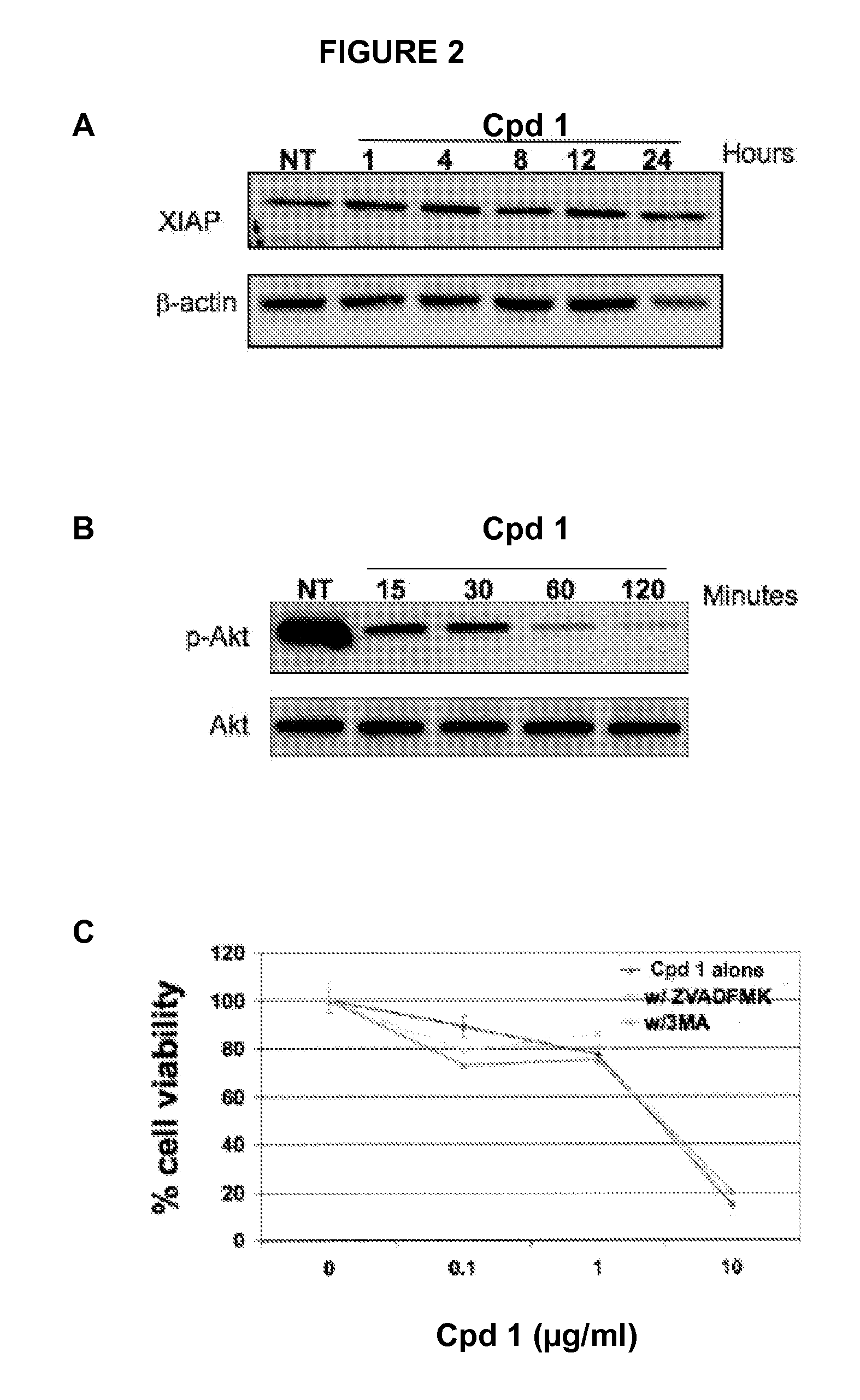 Methods for inducing programmed cell death