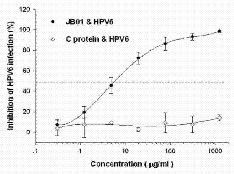 Preparation method for biological agent for preventing and controlling human papilloma virus infection