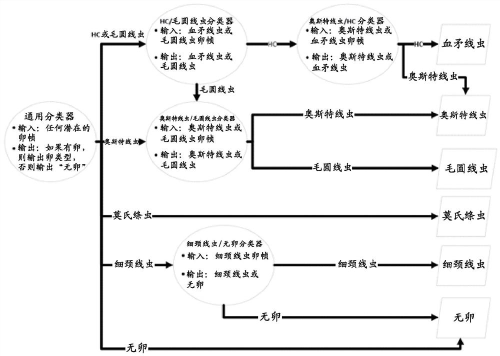 Methods for identifying biological material by microscopy